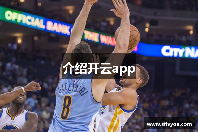 介绍开云app